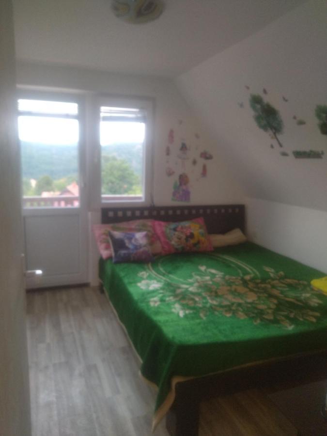 Bor, Savaca - Porodicna Vikendica Za Izdavanje Exterior photo