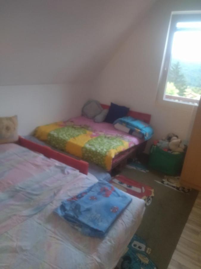 Bor, Savaca - Porodicna Vikendica Za Izdavanje Exterior photo