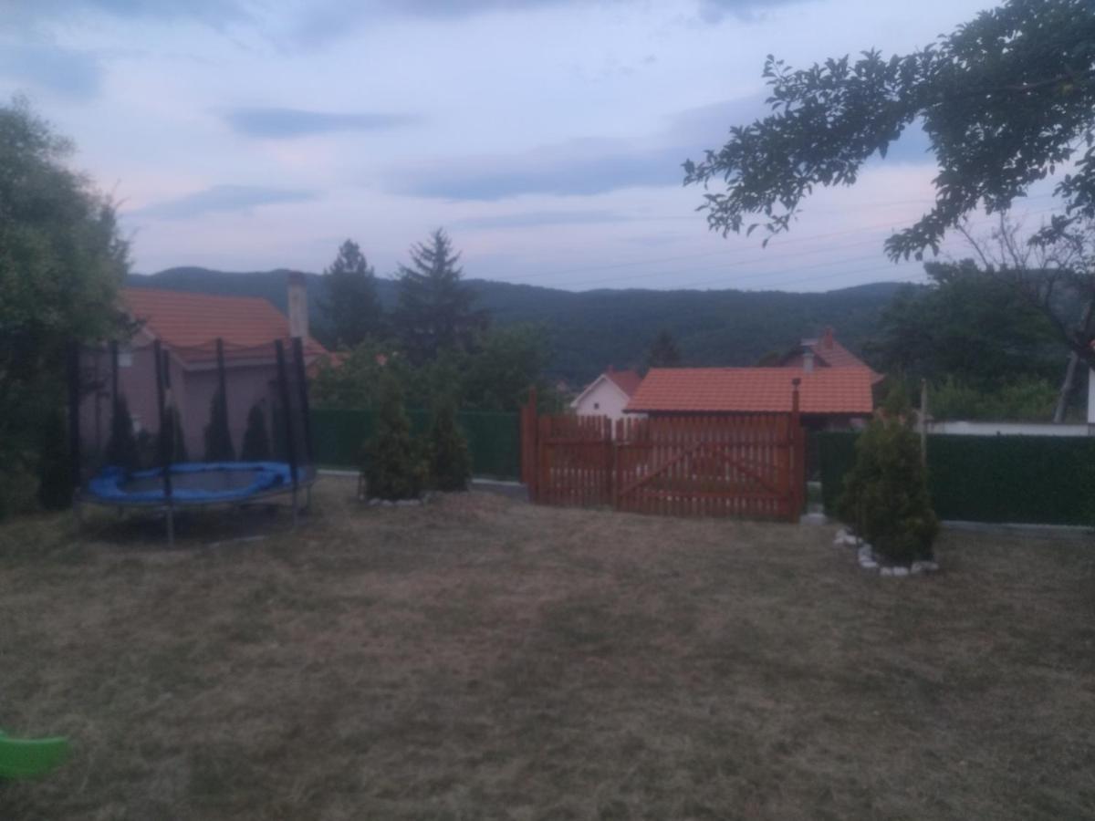 Bor, Savaca - Porodicna Vikendica Za Izdavanje Exterior photo